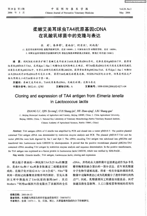 柔嫩艾美耳球虫TA4抗原基因cDNA在乳酸乳球菌中的克隆与表达