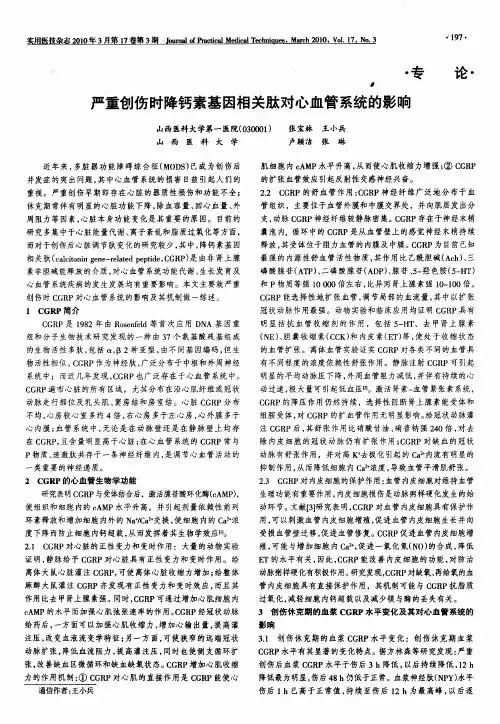 严重创伤时降钙素基因相关肽对心血管系统的影响