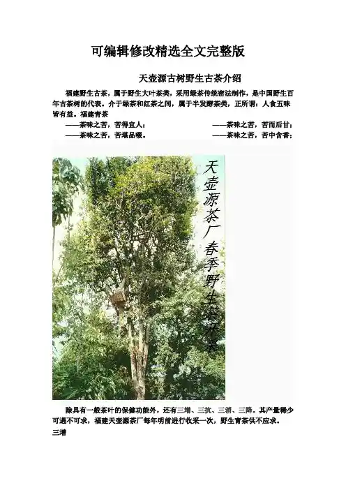 天壶源古树野生古茶介绍精选全文完整版