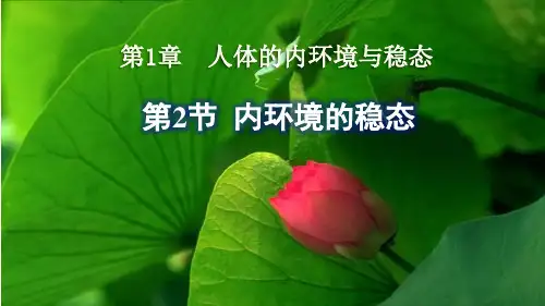 2019人教版高中生物选择性必修1课件  1.2内环境的稳态