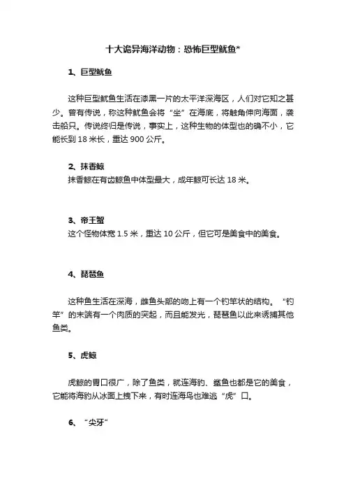 十大诡异海洋动物：恐怖巨型鱿鱼