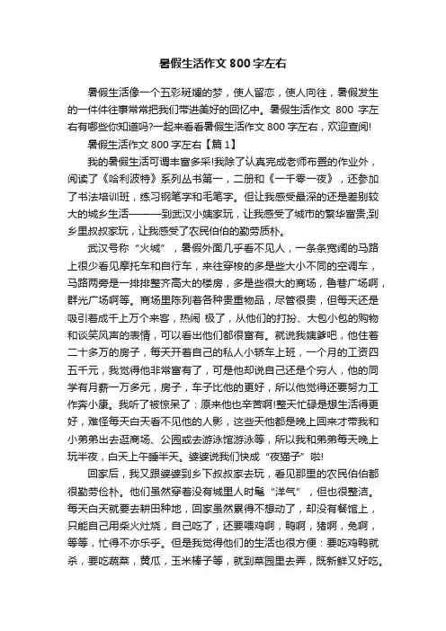 暑假生活作文800字左右