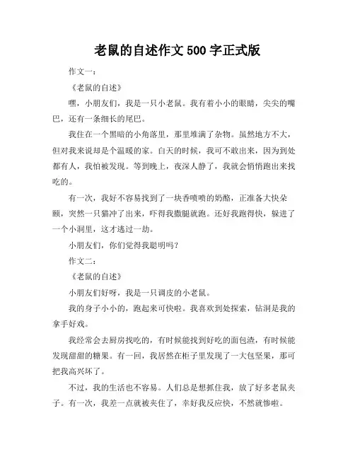老鼠的自述作文500字正式版