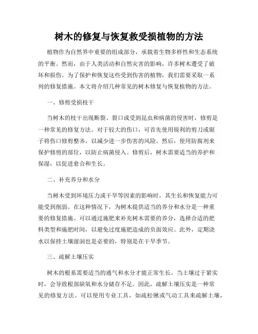 树木的修复与恢复救受损植物的方法