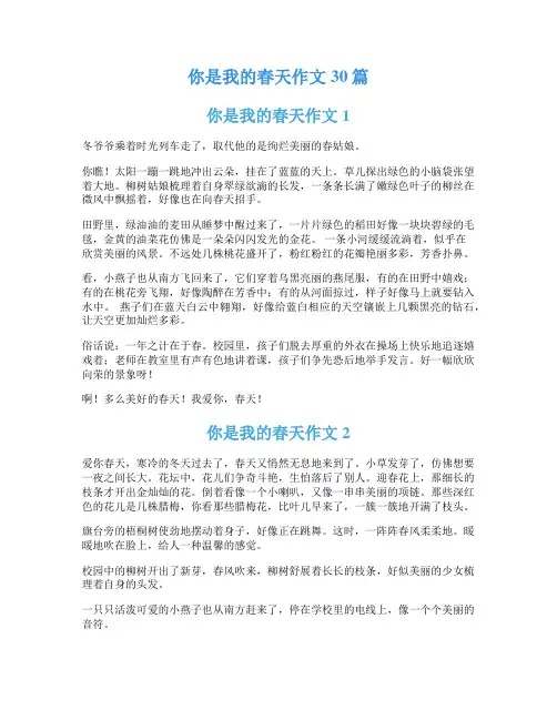 你是我的春天作文30篇