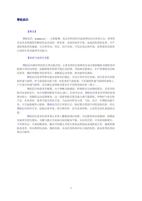 脊柱后凸讲义