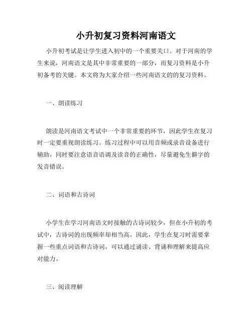 小升初复习资料河南语文