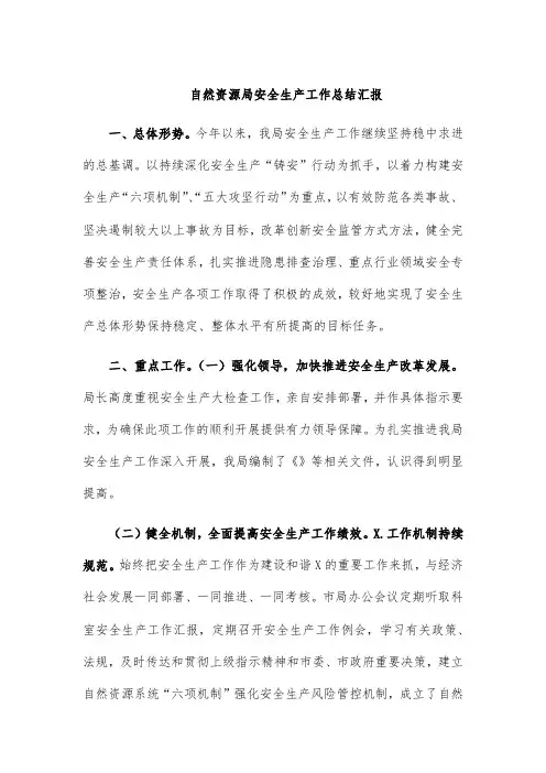 自然资源局安全生产工作总结汇报
