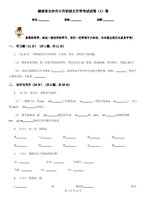 湖南省长沙市小升初语文升学考试试卷(I)卷