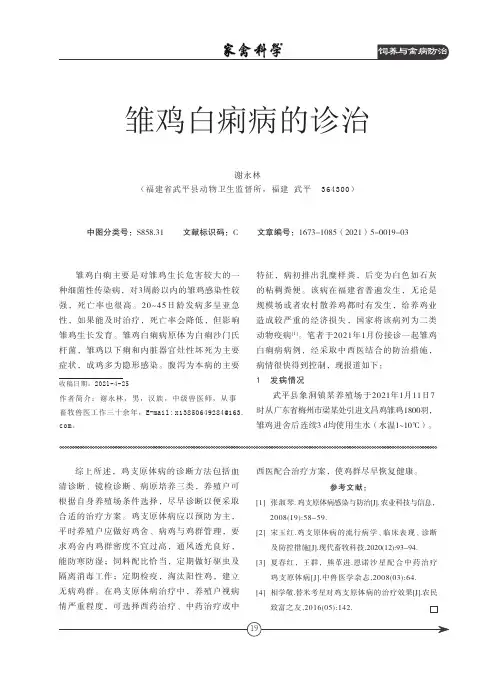 雏鸡白痢病的诊治