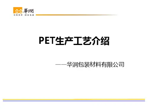 PET生产工艺介绍(PPT课件31页)