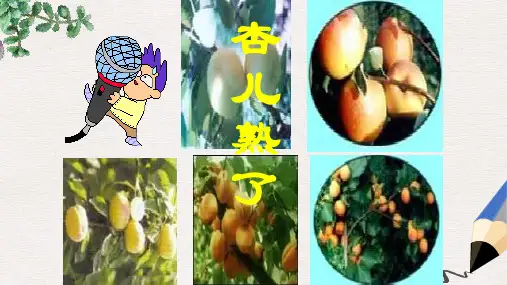 三年级语文下册 第4单元 19《杏儿熟了》课件7 沪教版