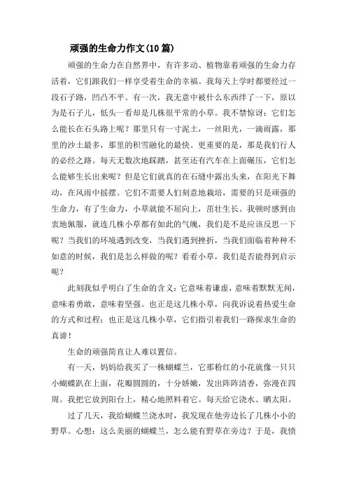 顽强的生命力作文(10篇)精选