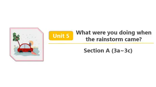 人教八年级英语下册 Unit 5 Section A (3a~3c) 精品课件