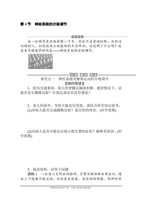 新教材2020-2021学年生物选择性必修1学案：2.4 神经系统的分级调节