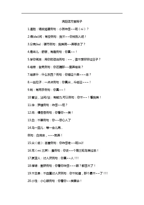 涡阳话方言段子