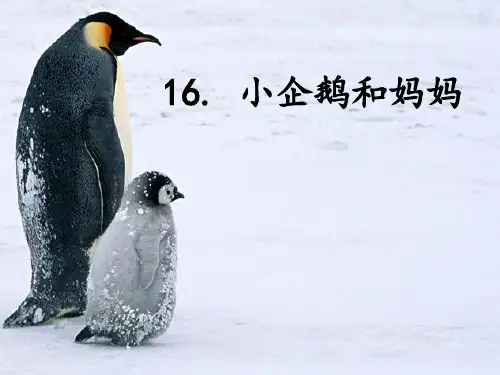 秋北京版语文二上《小企鹅和妈妈》课件
