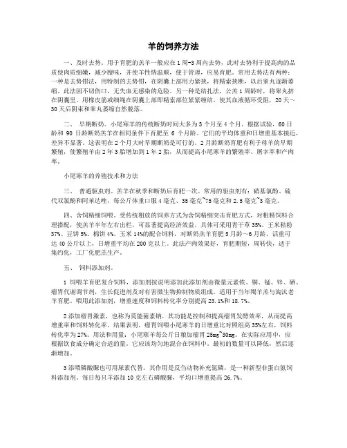 羊的饲养方法