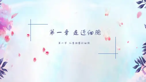 人教版高中生物必修一第一章走近细胞总复习