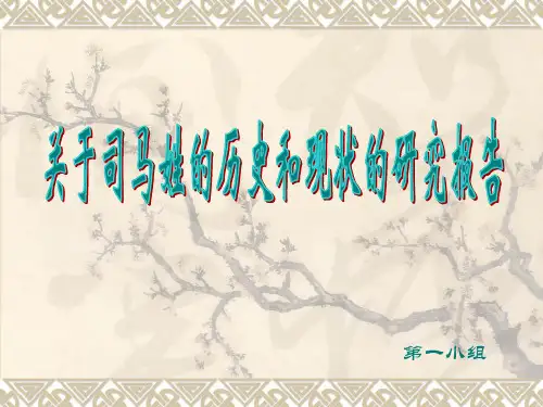 关于司马姓的历史和现状的研究报告