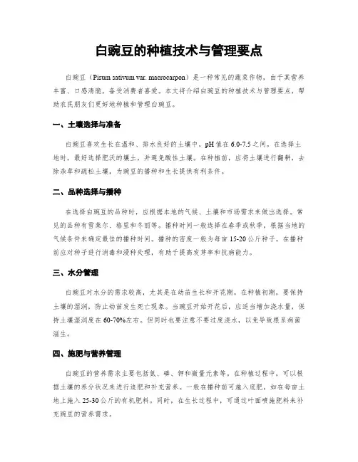 白豌豆的种植技术与管理要点