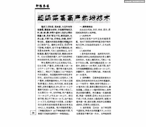 超级菜葛高产栽培技术