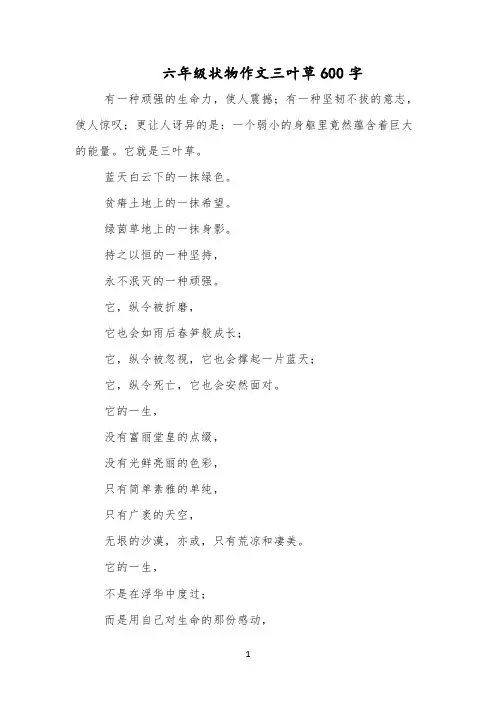 六年级状物作文三叶草600字