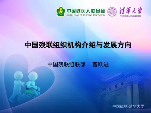 中国残联组织机构介绍与发展方向(1)