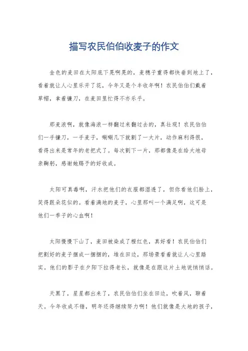 描写农民伯伯收麦子的作文