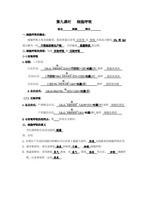 生物必修一第九课时细胞呼吸填空题(含答案)