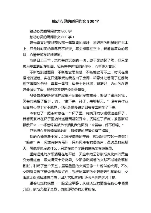 触动心灵的瞬间作文800字