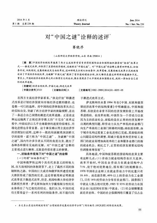 对“中国之谜”诠释的述评