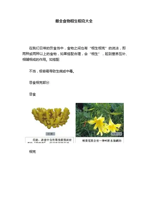 最全食物相生相克大全