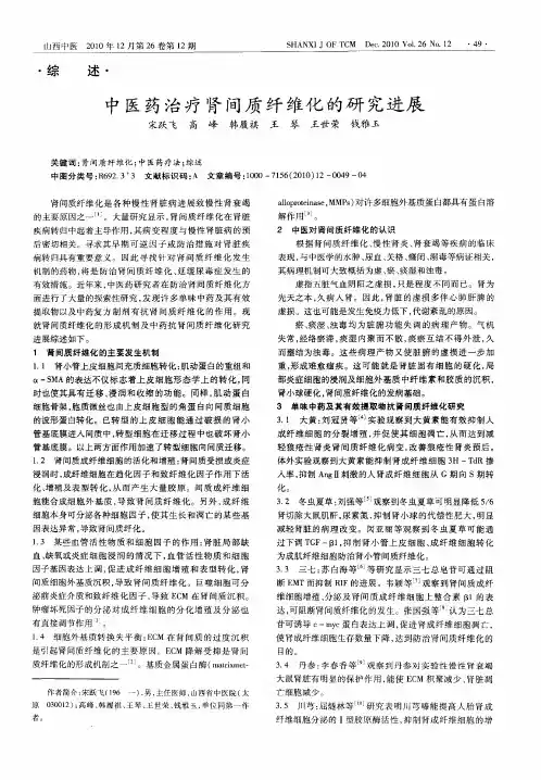 中医药治疗肾间质纤维化的研究进展