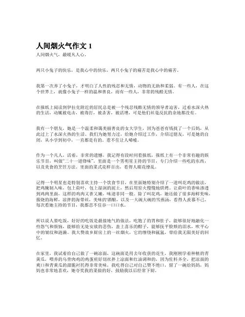 以《人间烟火气》为题的作文600字