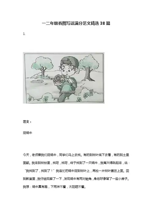 一二年级看图写话满分范文精选38篇