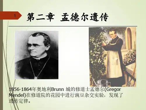 遗传学：第二章 孟德尔遗传