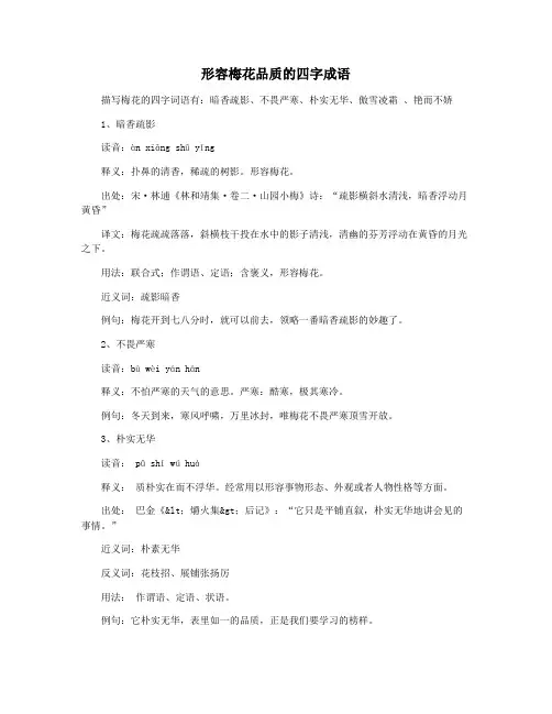形容梅花品质的四字成语