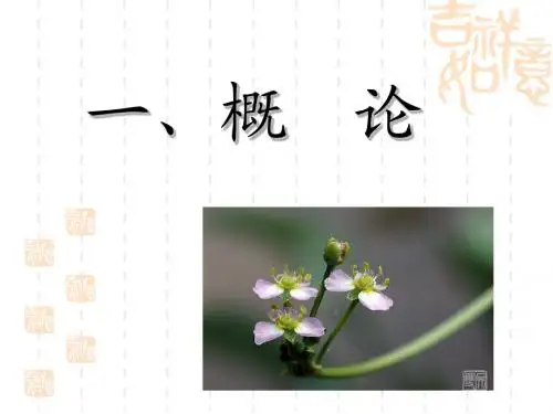 腹外疝