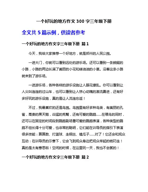 一个好玩的地方作文300字三年级下册