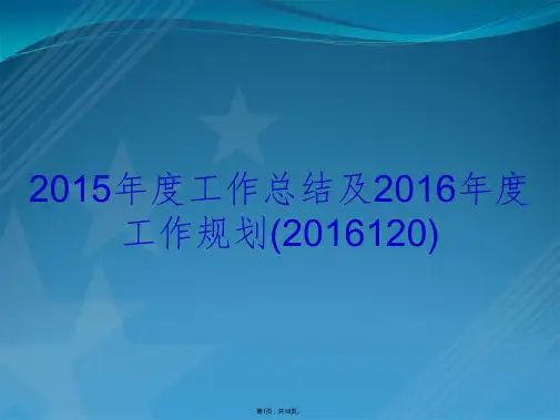 2015年度工作总结及2016年度工作规划(2016120)