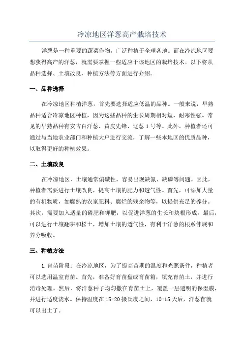 冷凉地区洋葱高产栽培技术