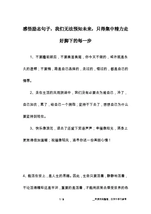 感悟励志句子,我们无法预知未来,只得集中精力走好脚下的每一步
