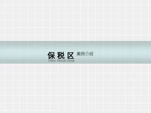 保税区案例研究