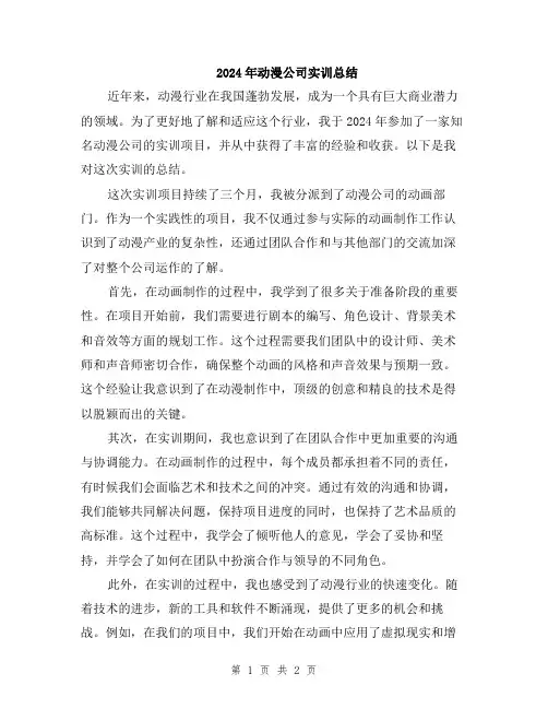 2024年动漫公司实训总结