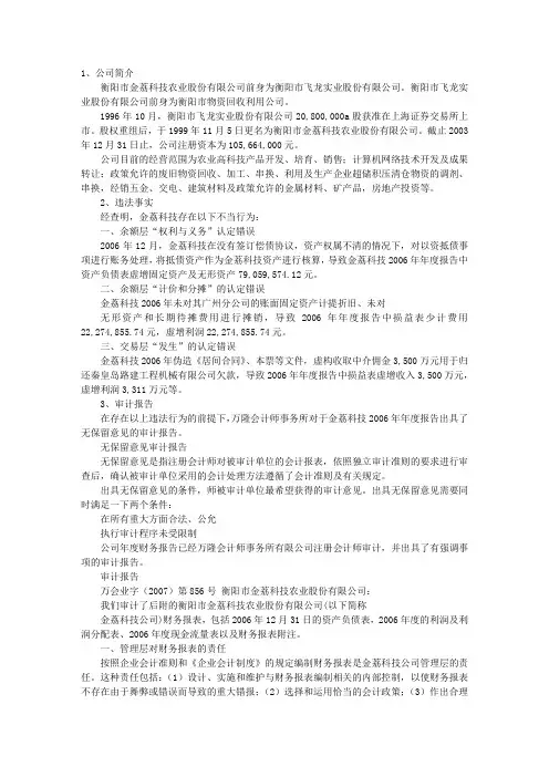 审计报告错误
