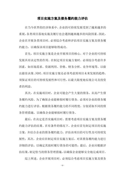 项目实施方案及债务履约能力评估