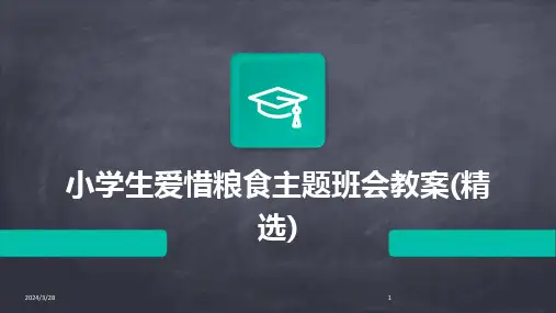 小学生爱惜粮食主题班会教案(精选)-2024鲜版