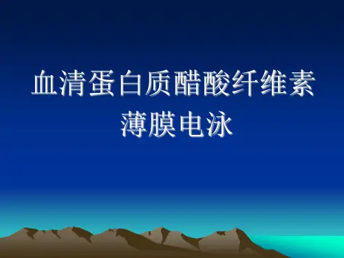 实验三,血清蛋白醋酸纤维素薄膜电泳