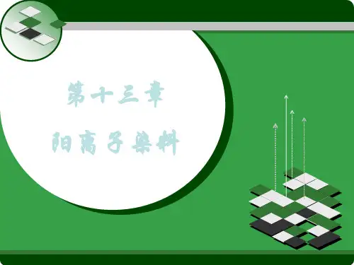 阳离子染料专业知识讲座